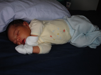 Asleep 24 Sept.jpg
